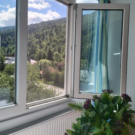 Apartment Valea Azugii Azuga Bagian luar foto