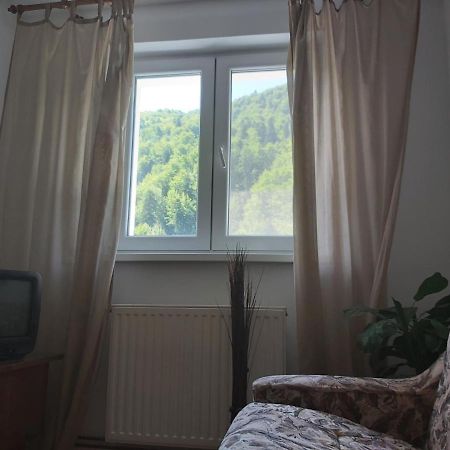 Apartment Valea Azugii Azuga Bagian luar foto