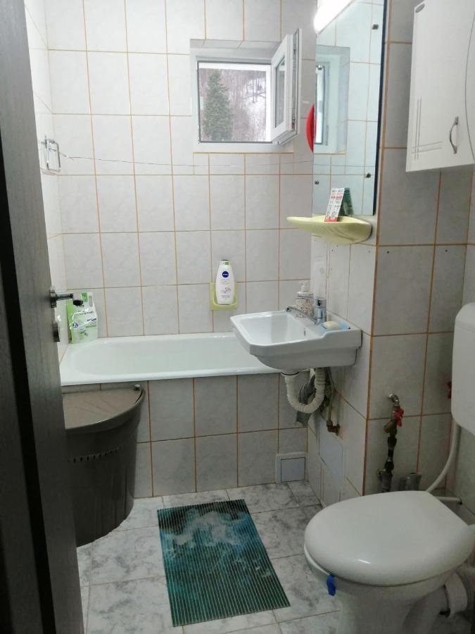 Apartment Valea Azugii Azuga Bagian luar foto
