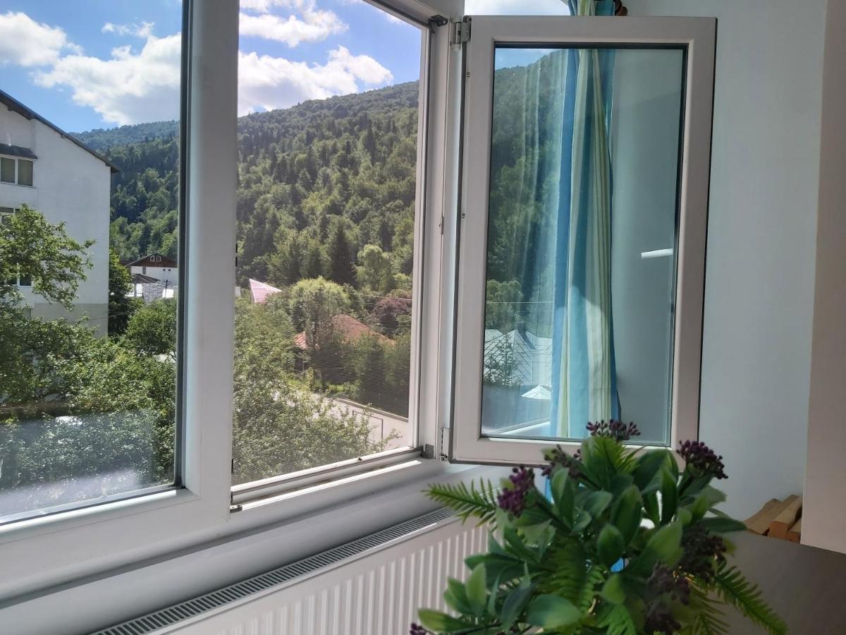 Apartment Valea Azugii Azuga Bagian luar foto