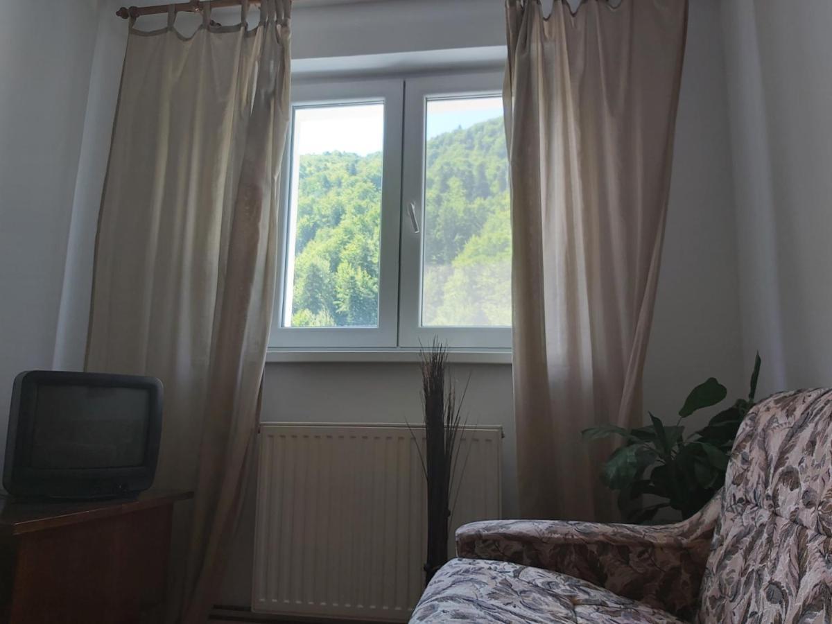 Apartment Valea Azugii Azuga Bagian luar foto